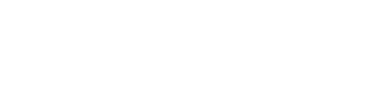 Sellute Logo