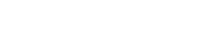 Sellute Logo