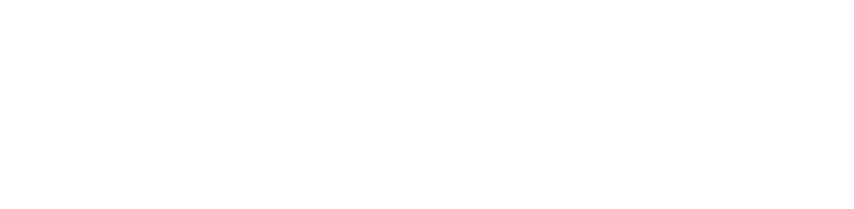 Sellute Business Solutions